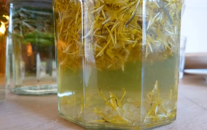 Essbare Blüten: Löwenzahn Schnaps