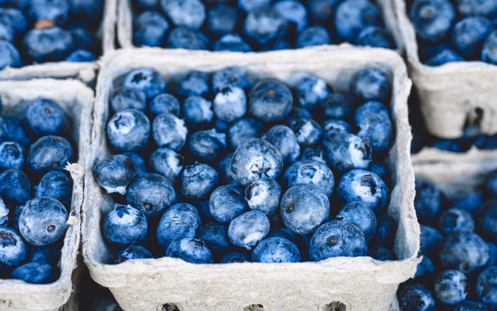 Heidelbeere Beeren