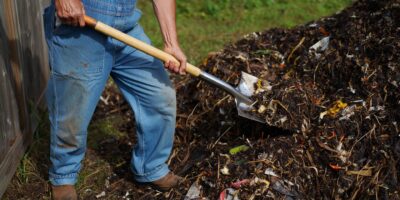 Vacía un montón de compost olvidado durante seis años y descubre lo que había dentro