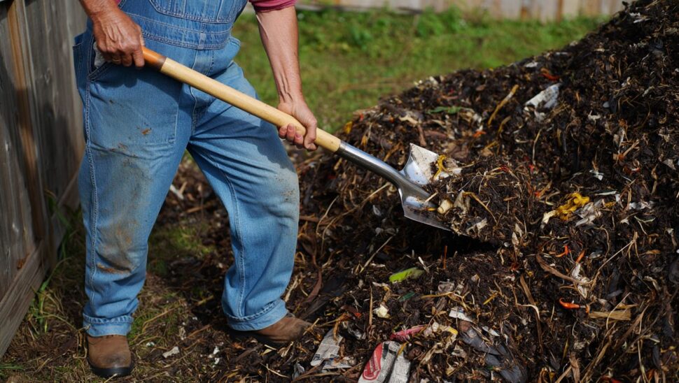 Vacía un montón de compost olvidado durante seis años y descubre lo que había dentro