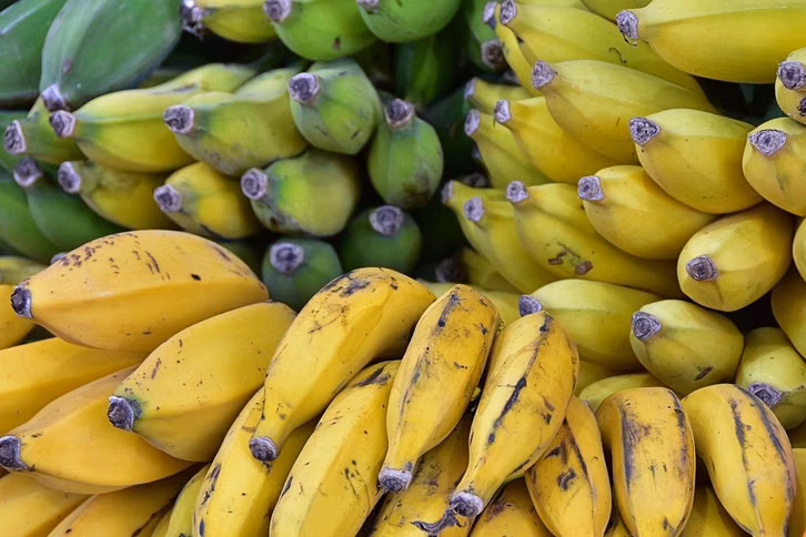 Jeder Reifegrad der Banane bietet andere Vorteile. Wer täglich Banane isst, kann mit diesem Wissen die verschiedenen Vorteile wortwörtlich voll auskosten.