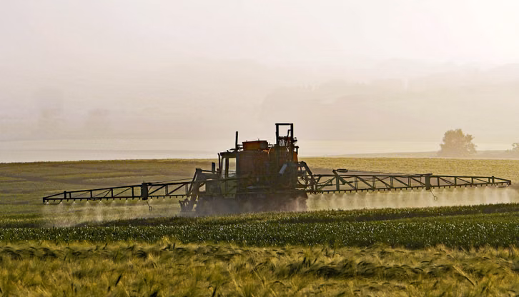 besonders-lebensmittel-aus-konventioneller-landwir-cc0--pixabay--hpgruesen-260818_download Besonders Lebensmittel aus konventioneller Landwirtschaft können mit Pestiziden belastet sein.