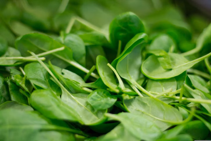 mangold-und-spinat-sind-regionale-gemuesesorten-mit-cc0--pixabay--thilobecker-260907_download Mangold und Spinat sind regionale Gemüsesorten mit Magnesium.