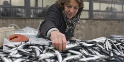 8 alimentos para los huesos que los traumatólogos recomiendan después de los 50
