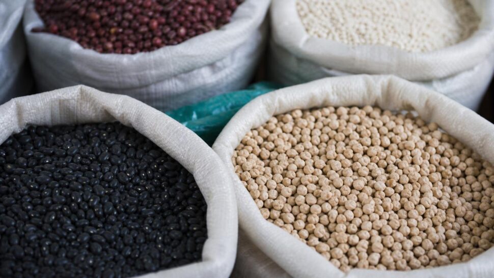 Frijoles vs garbanzos: cuál eleva menos el azúcar en la sangre según los nutricionistas