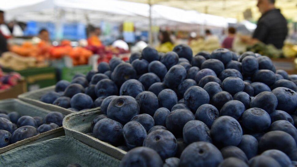 La mejor fruta para el cerebro según los neurólogos y casi nadie la come