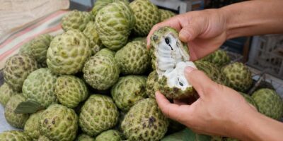 La fruta que tiene más fibra que la avena y casi nadie la come