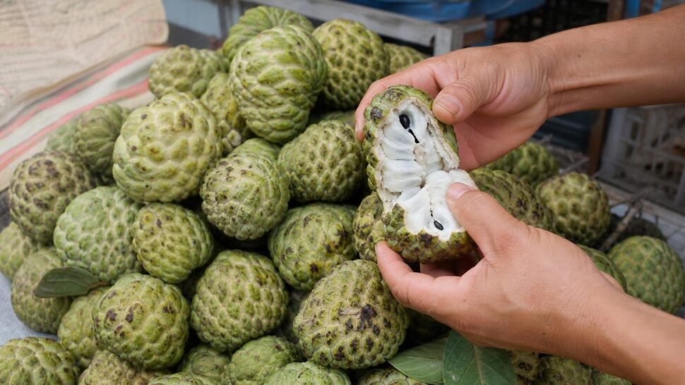 La fruta que tiene más fibra que la avena y casi nadie la come