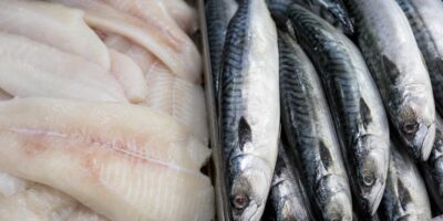 Pescado blanco vs pescado azul: cuál conviene más para el corazón según los cardiólogos